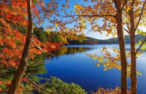 Unique and Serene Sunset Houseboat for 4 - Foto 17