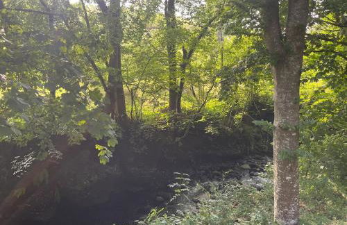 AfonCoed - A cozy, quiet stay by the river - Foto 10