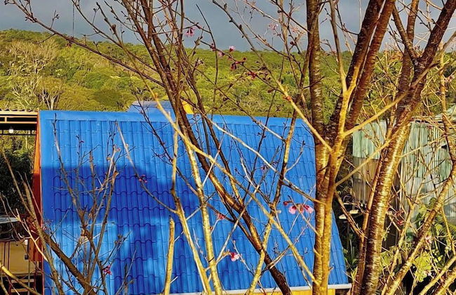 Homestay Wooden House Măng Đen - Foto 30