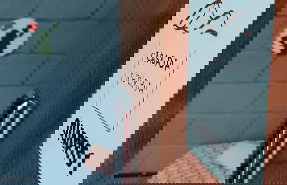 Suíte maravilhosa Casa da Serra - Foto 2