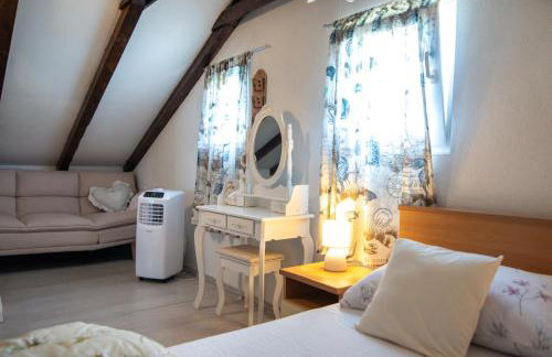 Apartman Donadina-Dalmatian heritage house - Foto 32