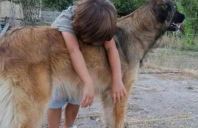 Casa da Moiroa - Foto 50