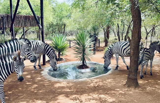 Kruger Kumba - Mugwenzi - Photo 42