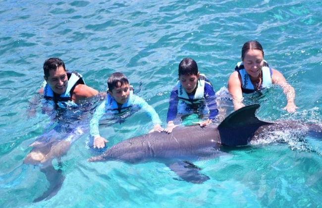 Delfin Schwimm-Abenteuer in Grand Sirenis Akumal-Tulum - Foto 8