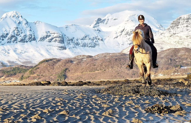 6 Person Holiday Home in Hamnvik - Foto 16