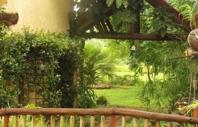 Hazyview Country Cottages - Foto 47