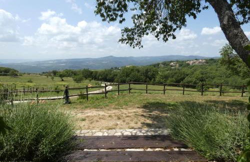 Scappo in Umbria, Le Salce - Foto 38