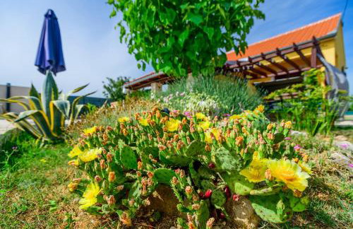 Sunny house - Foto 63