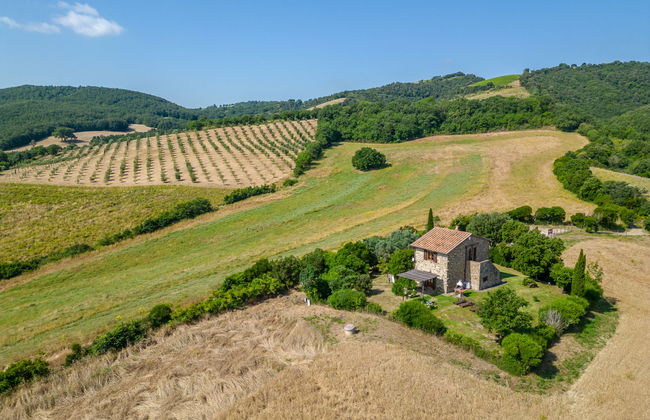 2 bedroom House in Cinigiano with private pool and garden - Photo 4