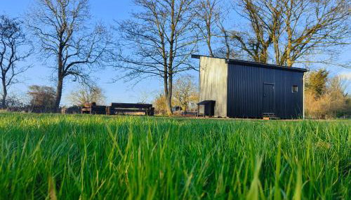 The Water Shack - Amazing tiny house retreat - Foto 1