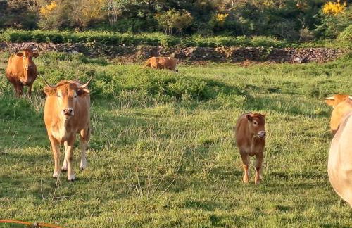 Cabana Toxosoutos - Foto 18