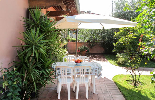 Agrifoglio - Foto 16