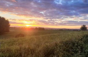 Tymek - domek - Foto 28