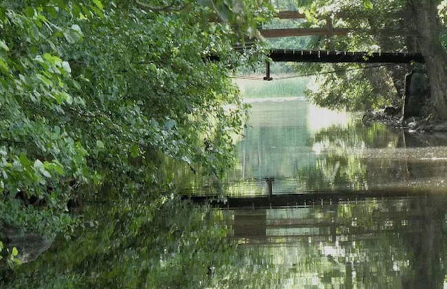 4 Person Holiday Home in Granna-by Traum - Photo 19