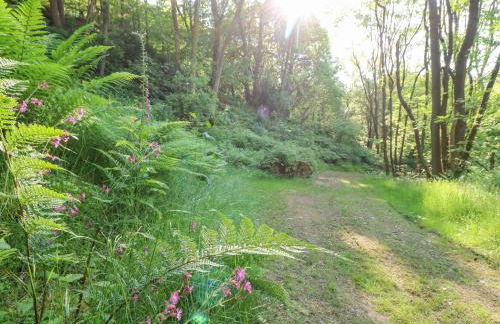The Barn at Catacol - Foto 28