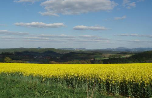 Dom Gościnny pod Zamkiem Wleń - Foto 52