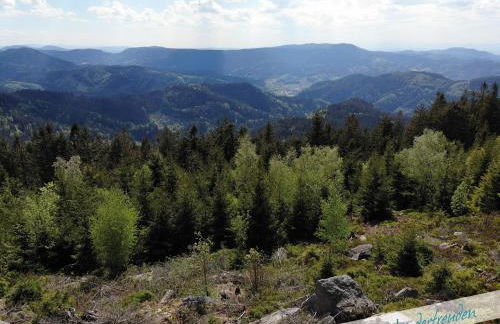 Fewo Nationalpark Schwarzwald - Foto 32