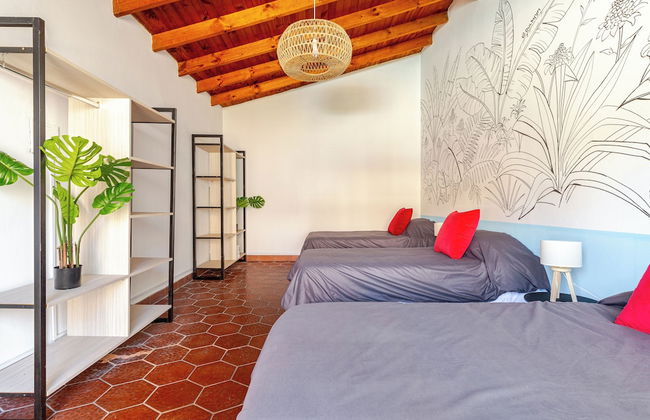 FLIPHAUS Wine Country Erlich - Foto 7