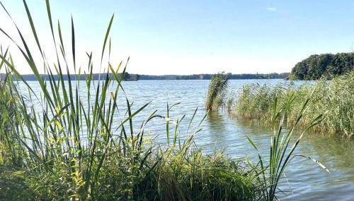 WOHLFÜHLBOOT Hausboot - Festlieger in der Marina Zaue am Schwielochsee - incl Stand Up Board - Foto 5