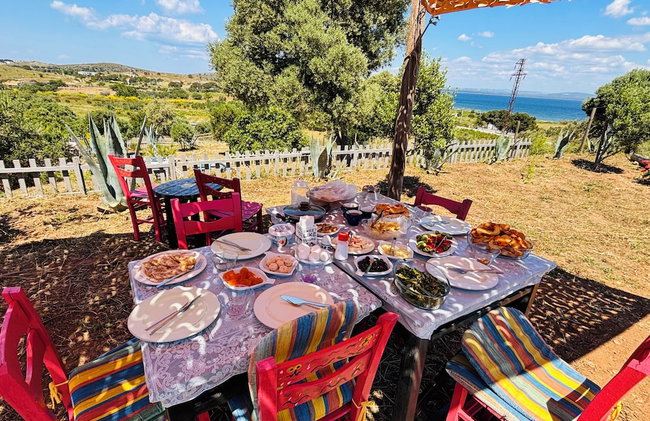 Zeus kır evi - Foto 66