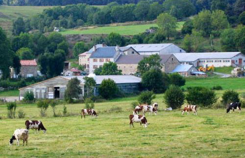 Maison charmante Le Malzieu, jardin - Foto 24