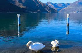 Casa Betty - Photo 37