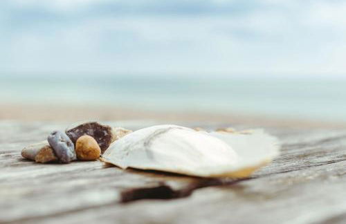 Beach Garden - Foto 15