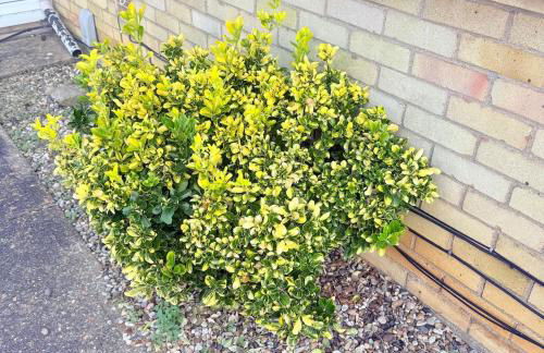 Heartfelt Cambridge Home - Foto 55