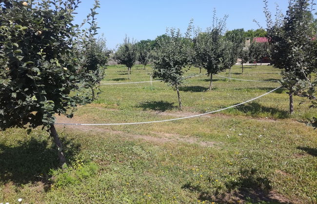 Salas Farma 47 - Photo 52