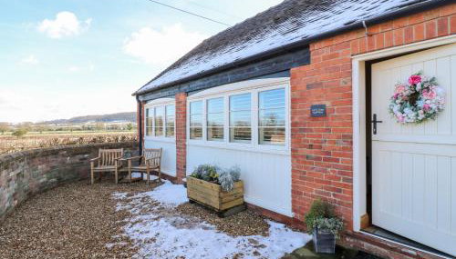 Little Gem - Photo 2