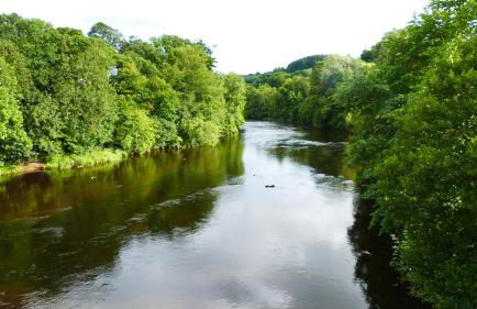 Riverside Apartments - Foto 10