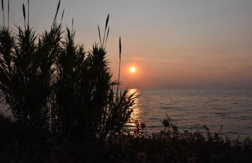 Salt and petals - Foto 50