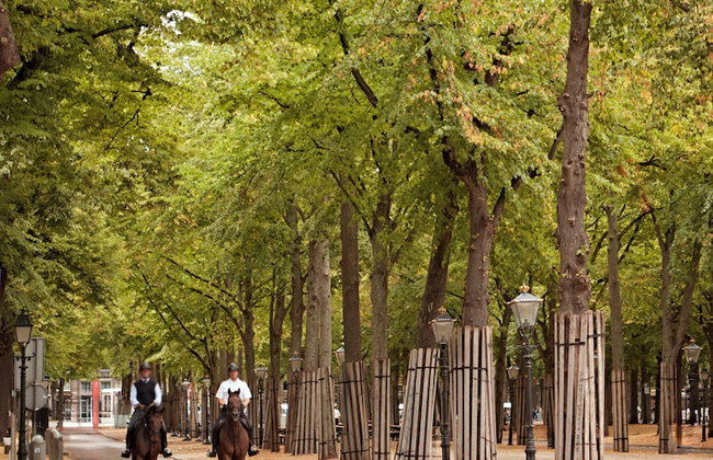 YAYS The Hague Willemspark by Numa - Foto 45