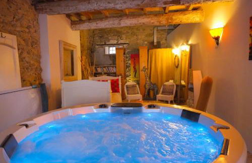La maison SPA, PISCINE et CLIMATISATION - Foto 21