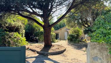 Maison Cigale Ramatuelle - Foto 5