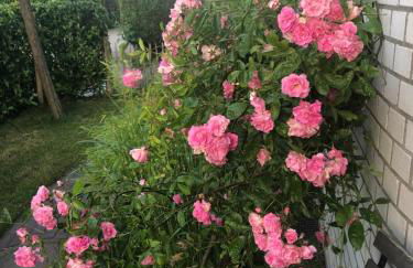 Moderne Ferienwohnung in Strandnähe - Foto 9