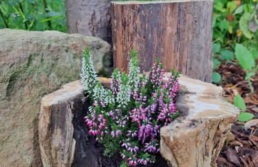Ferienhaus Rehblick - direkt in der Natur, mit Lesezimmer und zwei Terrassen - Foto 40