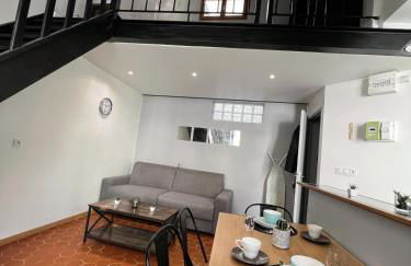 Central Super Loft - Foto 7