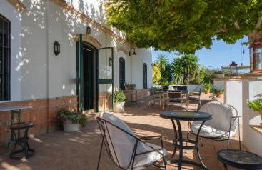 Finca Olivo Llorón - Foto 49