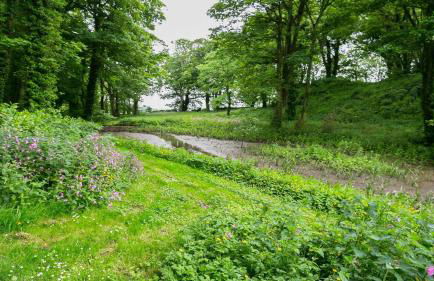 Ty Fry Estate - Foto 50