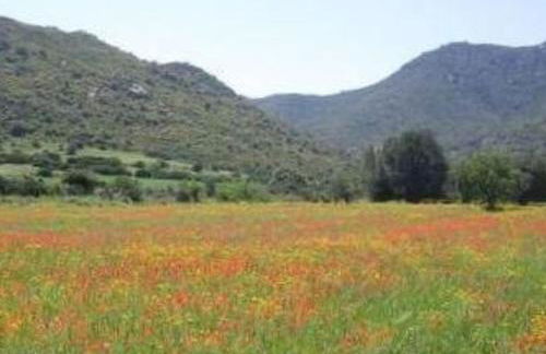 Holiday Home Natur- ökologische Nachhaltigkeit- nur für Erwachsene- Meer in der Nähe by Interhome - Foto 35