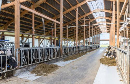 Friesenhof Janssen - Urlaub auf dem Bauernhof - Photo 4