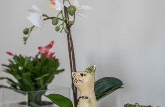 Panorama Suite - Top Apartment - Gliwice - bezpłatny parking - Foto 19