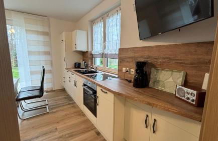 Muschel am Strand - Foto 10