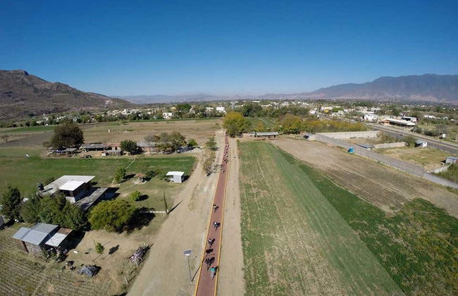 Santa María del Tule Bike Tour - Photo 6