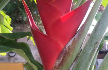 Casa Mamita - Foto 28