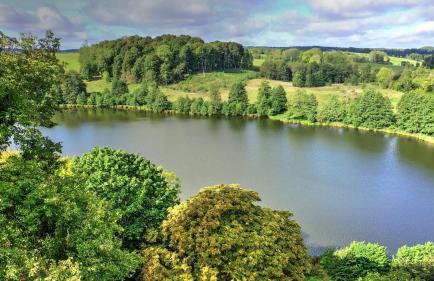 Park Wilkasy - Foto 9