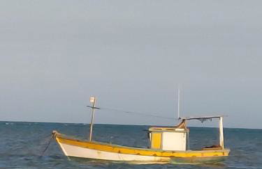 Casa Passarinhos - Foto 29