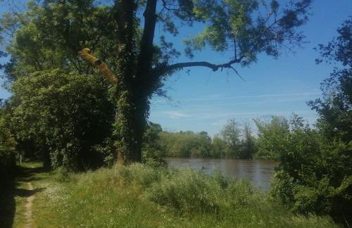 Maison " Bouton d'or" au bord de l'eau, à 10 mn de Tours , meublé classé une étoile - Foto 29