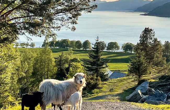 12 Person Holiday Home in Davik - Foto 25